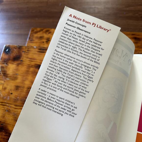 Vintage 2000 PJ Library Too Many Cooks A Passover Parable Jewish Paperback Book - Picture 2 of 9